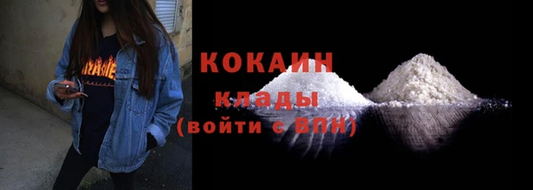хмурый Верея