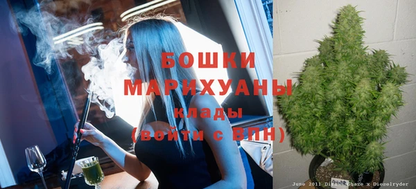 хмурый Верея