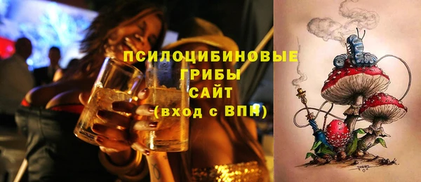хмурый Верея