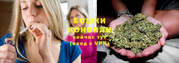 хмурый Верея