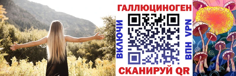 закладки  Петушки  Псилоцибиновые грибы Cubensis 